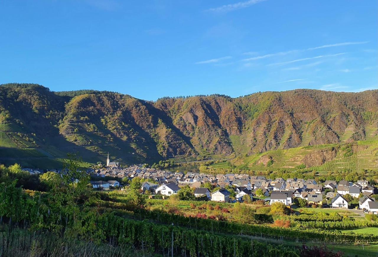 Attraktive Wohnung-Elztalidyll-Zwischen Mosel,Nuerburgring Und Burg Eltz Kollig Esterno foto